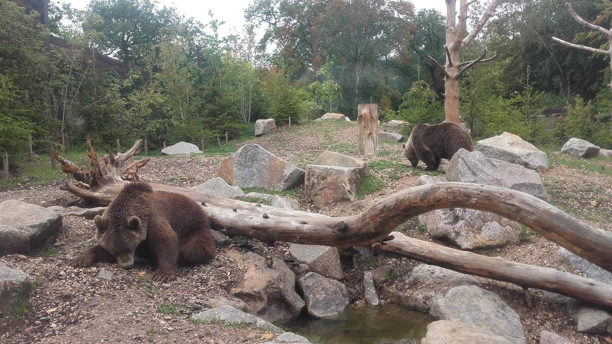 Zoo Amnéville 57
