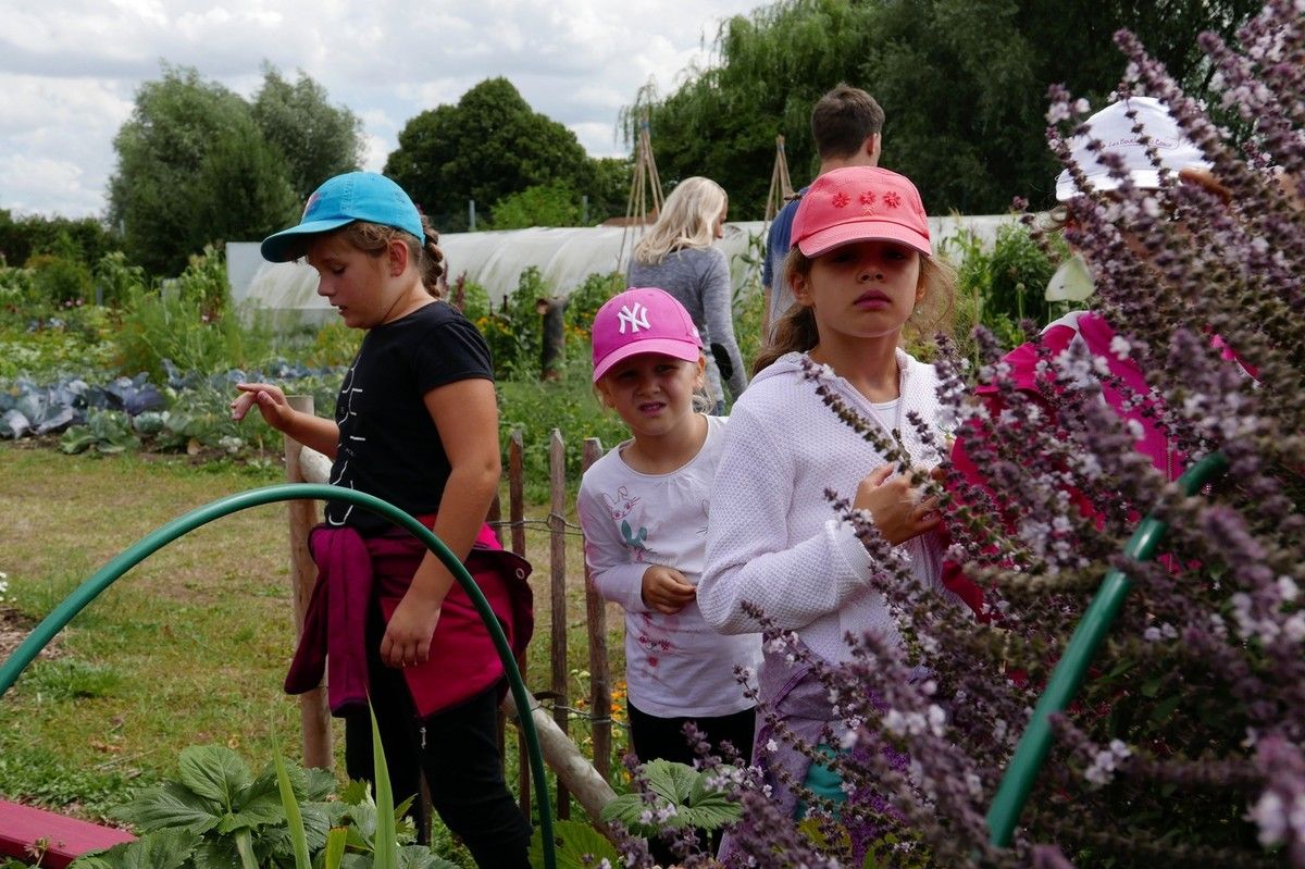 Le centre de loisirs de Saint Venant de retour au jardin de l