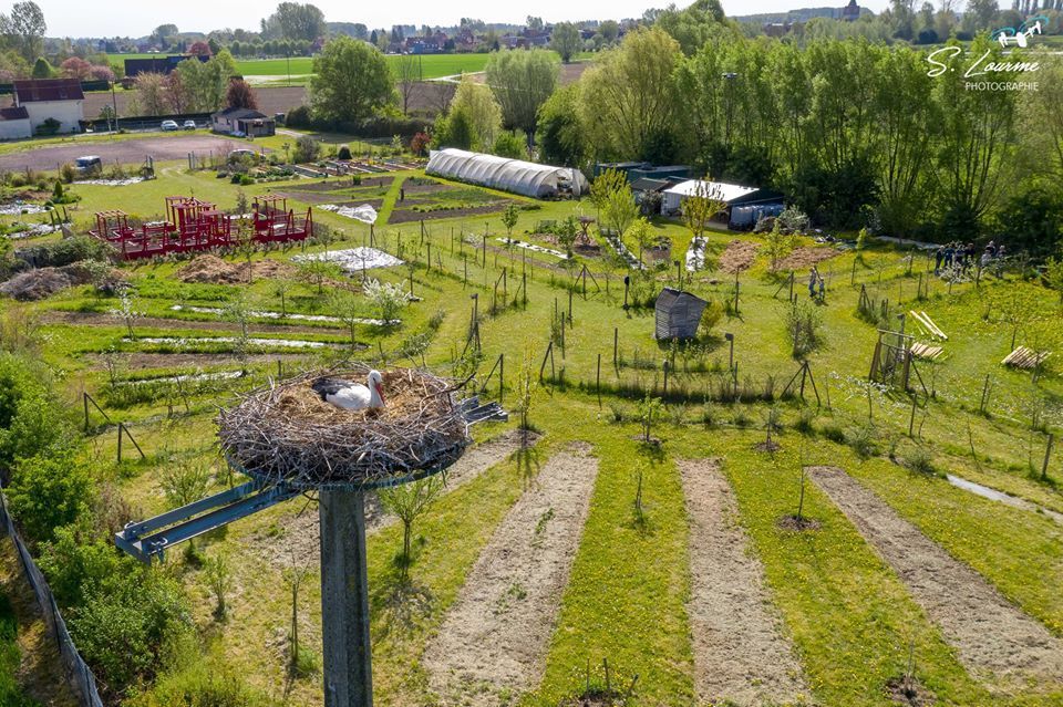 Heureux événement au jardin de l