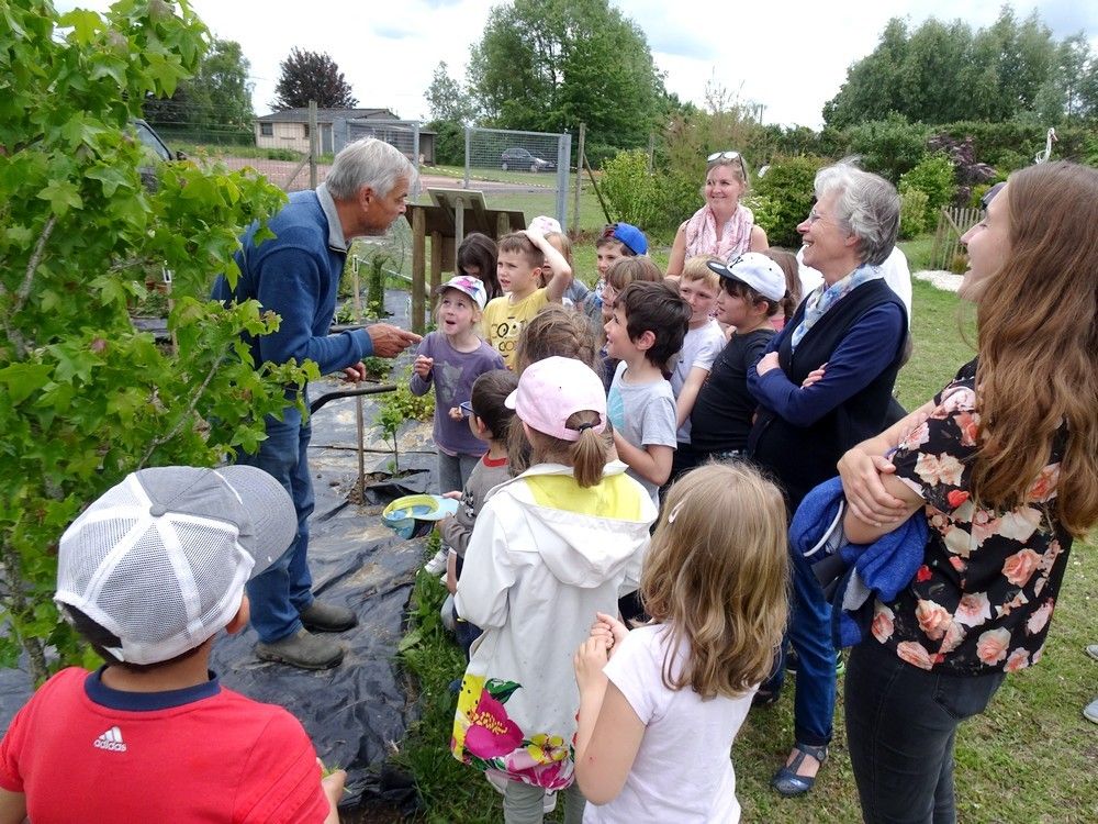 Activités ludopédagogiques au jardin de l