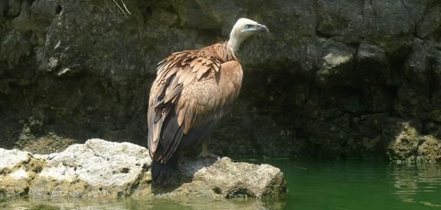Une semaine au coeur de la Sierra de Guadarrama