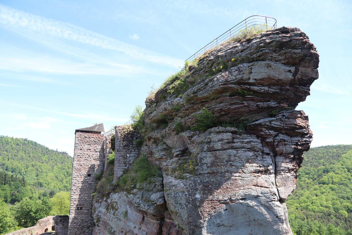 l'éperon de Fleckenstein