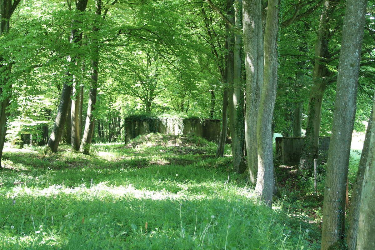 appui fortifié de Marienthal