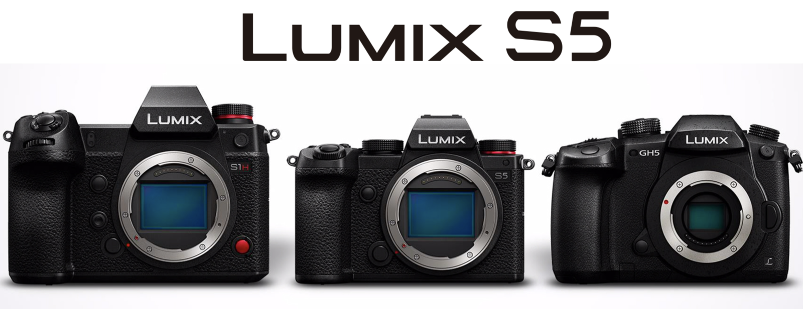 Test du Panasonic Lumix S5 : un GH5 Full Frame ou mini S1H ? (+ VIDEO) -  Blog Lumix GH/S France