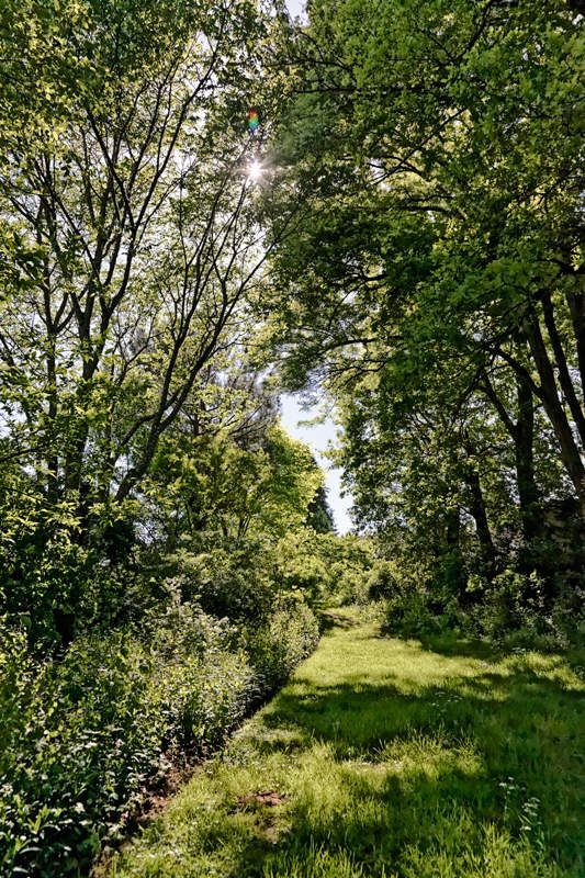 Le jardin de Liliane - mai