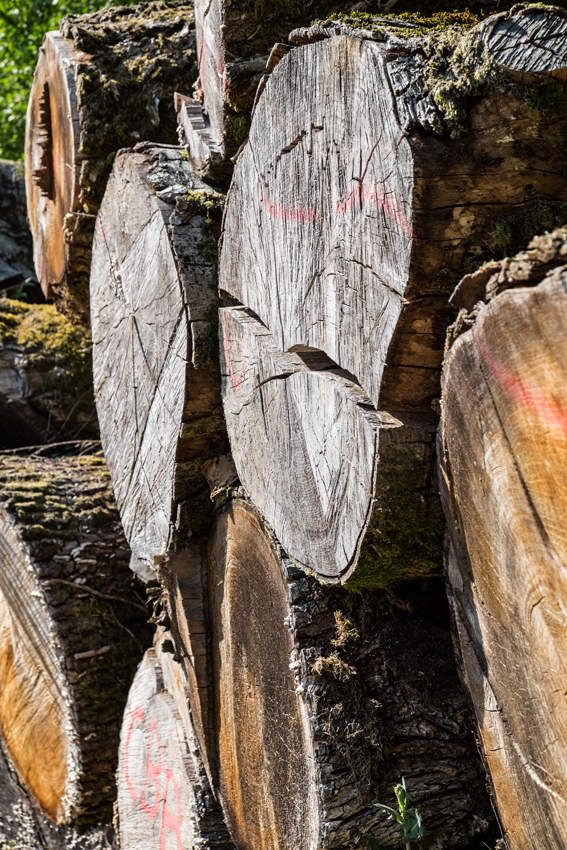 La nature à l'état brut - Limousin