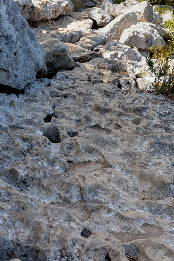 L'Ardèche - Le Bois de Païolive et les Gorges du Chassezac