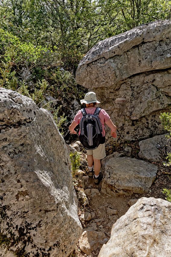 L'Ardèche - Le Bois de Païolive et les Gorges du Chassezac