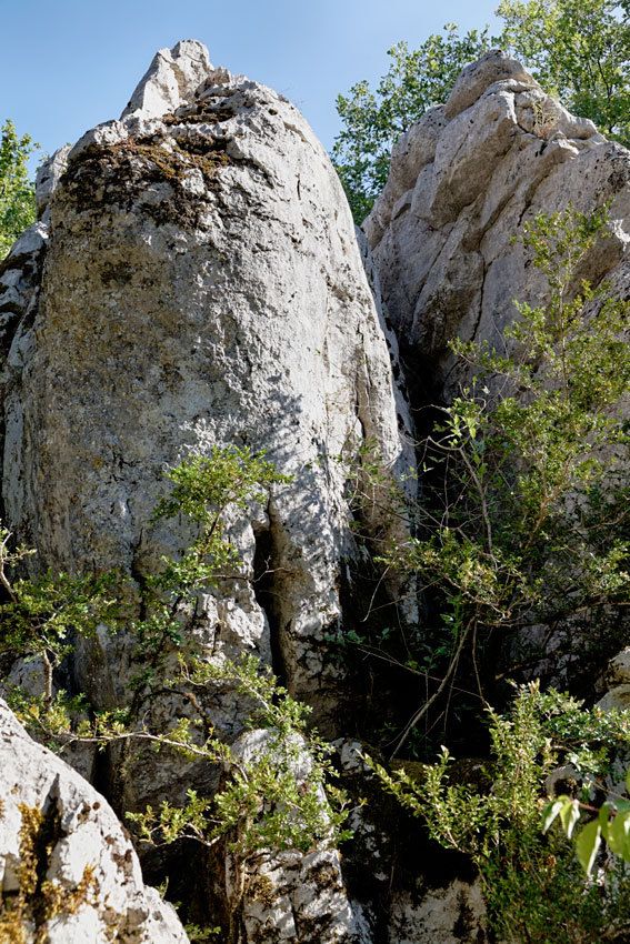L'Ardèche - Le Bois de Païolive et les Gorges du Chassezac