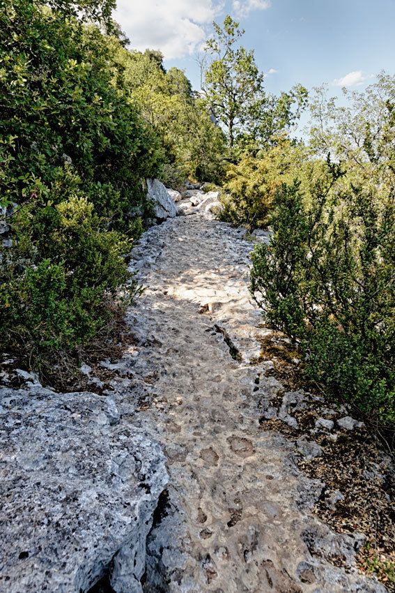 L'Ardèche - Le Bois de Païolive et les Gorges du Chassezac