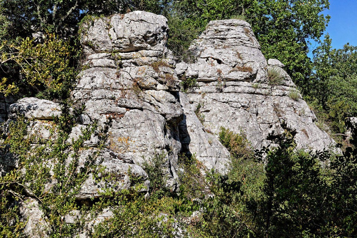 L'Ardèche - Le Bois de Païolive et les Gorges du Chassezac