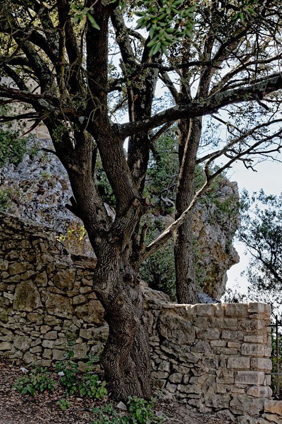 Le Gard  : La Roque-sur-Cèze