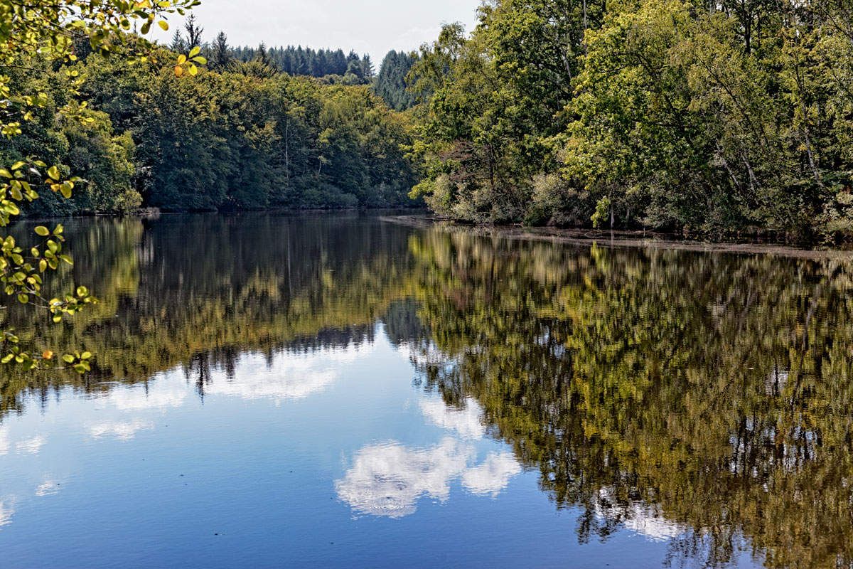 Lac de Saint-Pardoux