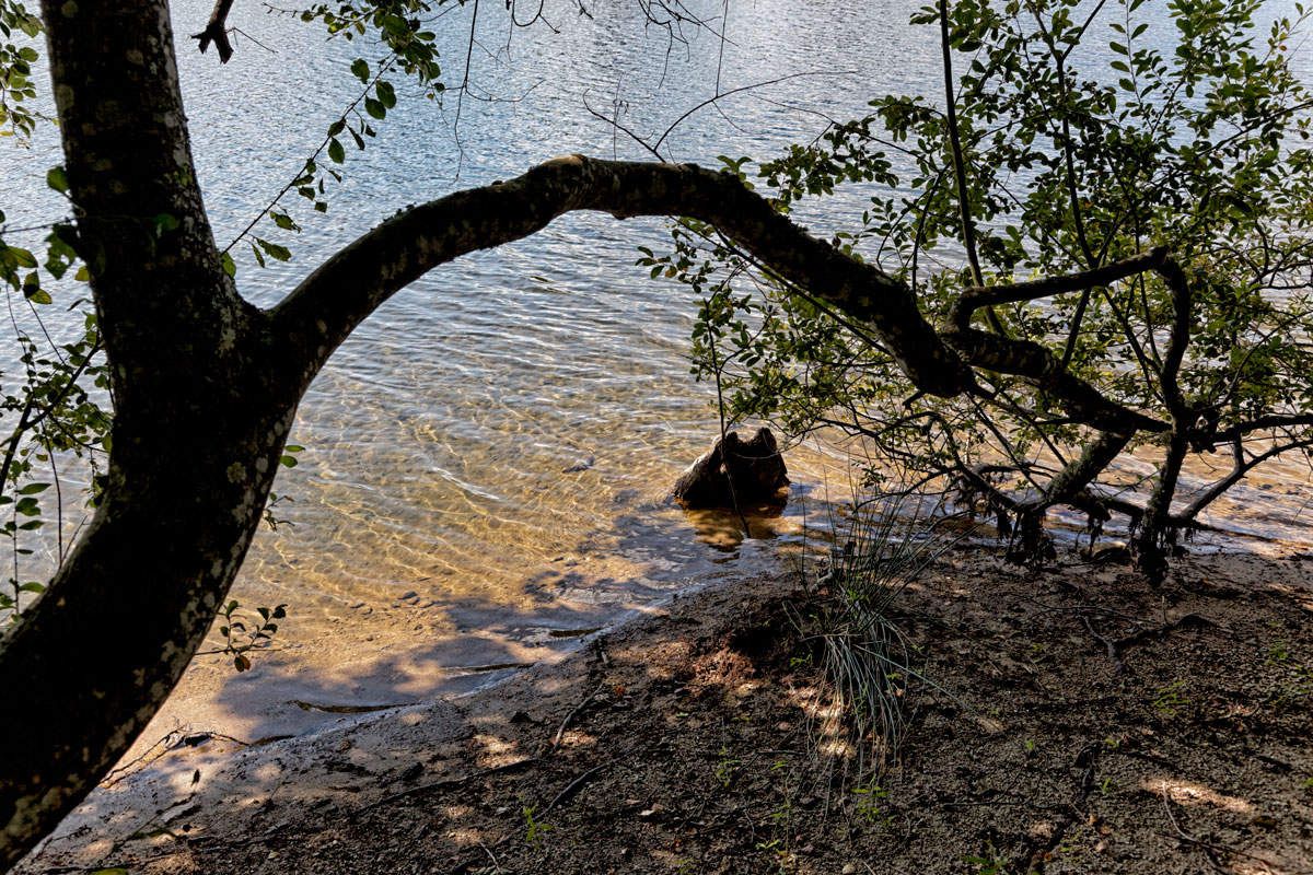 Lac de Saint-Pardoux