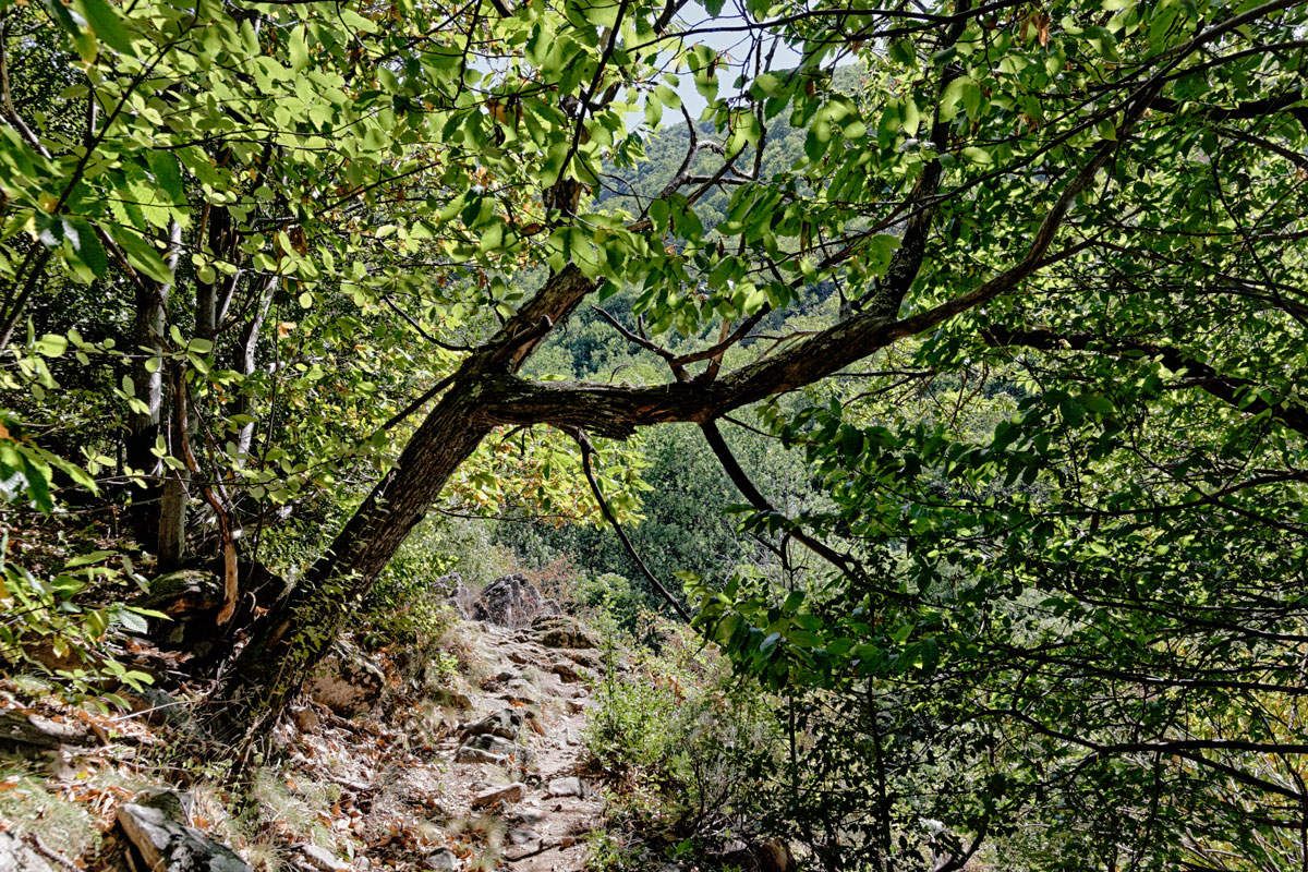 L'Ardèche - Thueyts - 2