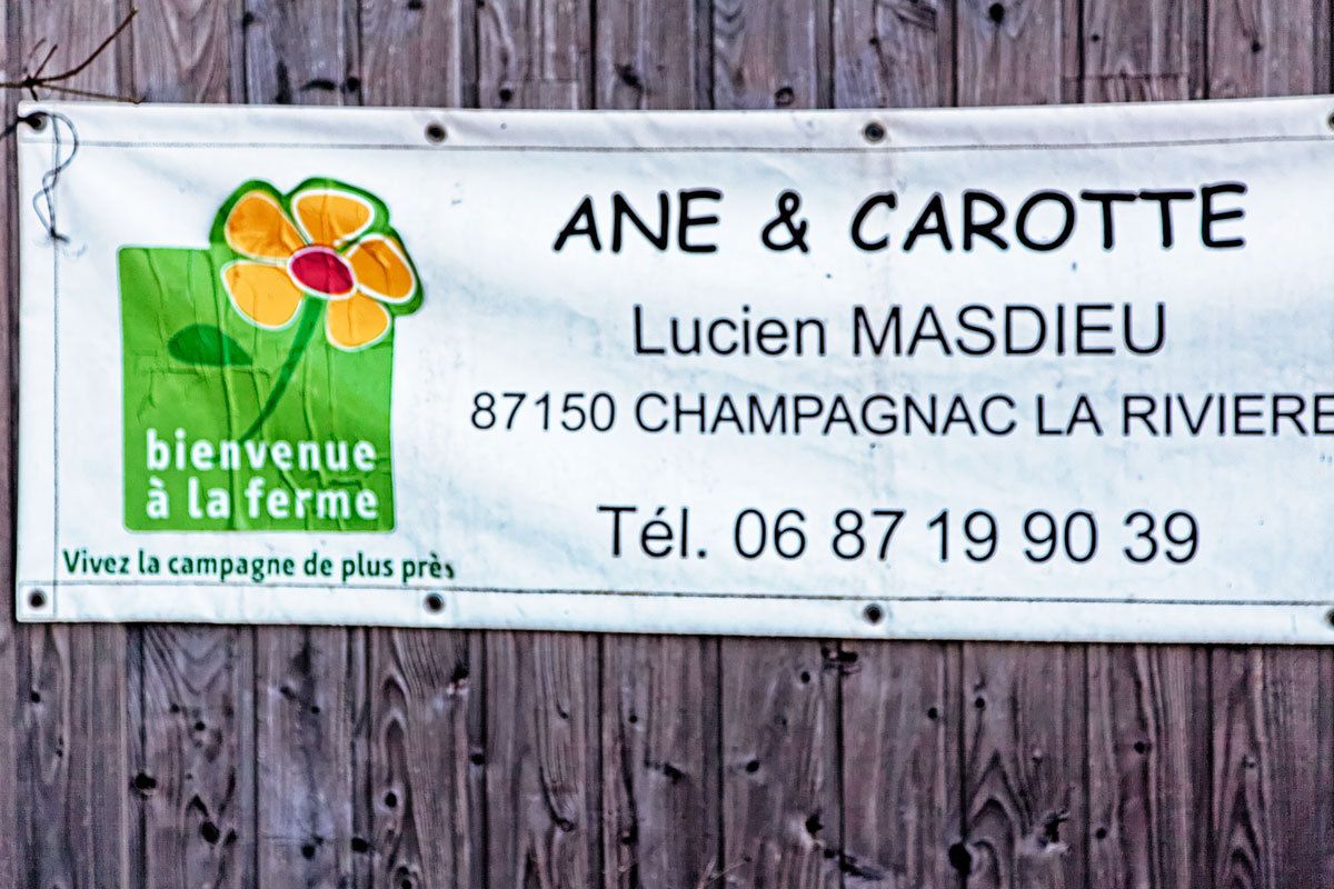 Agriculture biologique