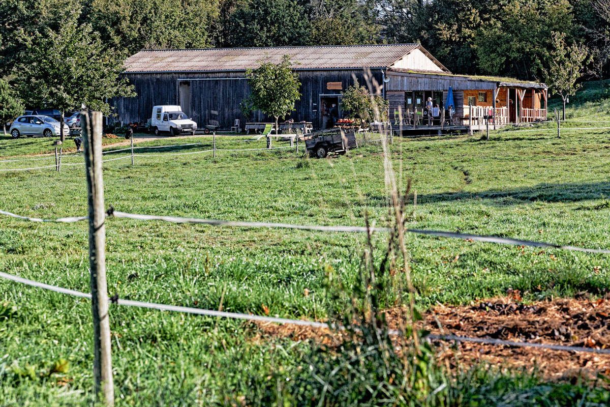 Agriculture biologique