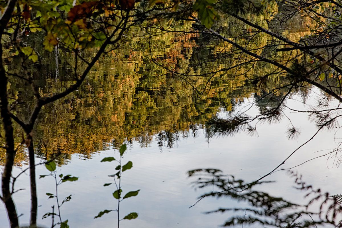 Lac de Saint-Pardoux : 2
