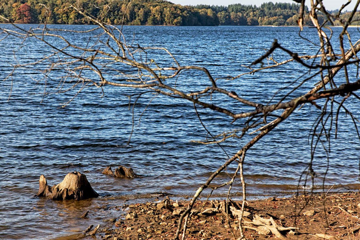 Lac de Saint-Pardoux : 2