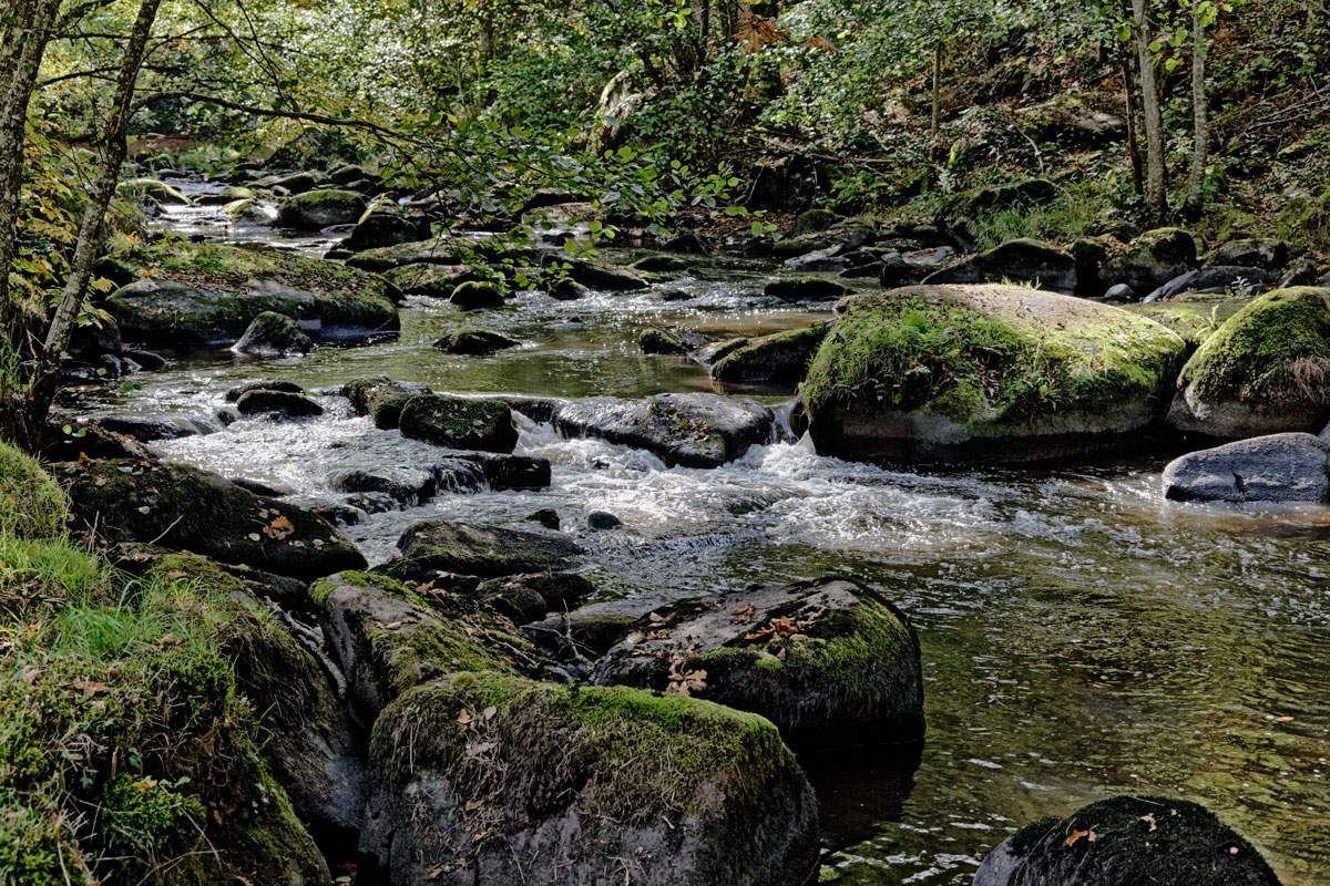L'Arboretum de la Sédelle - 3