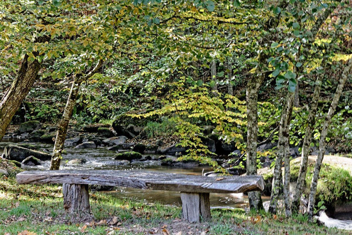 L'Arboretum de la Sédelle - 3