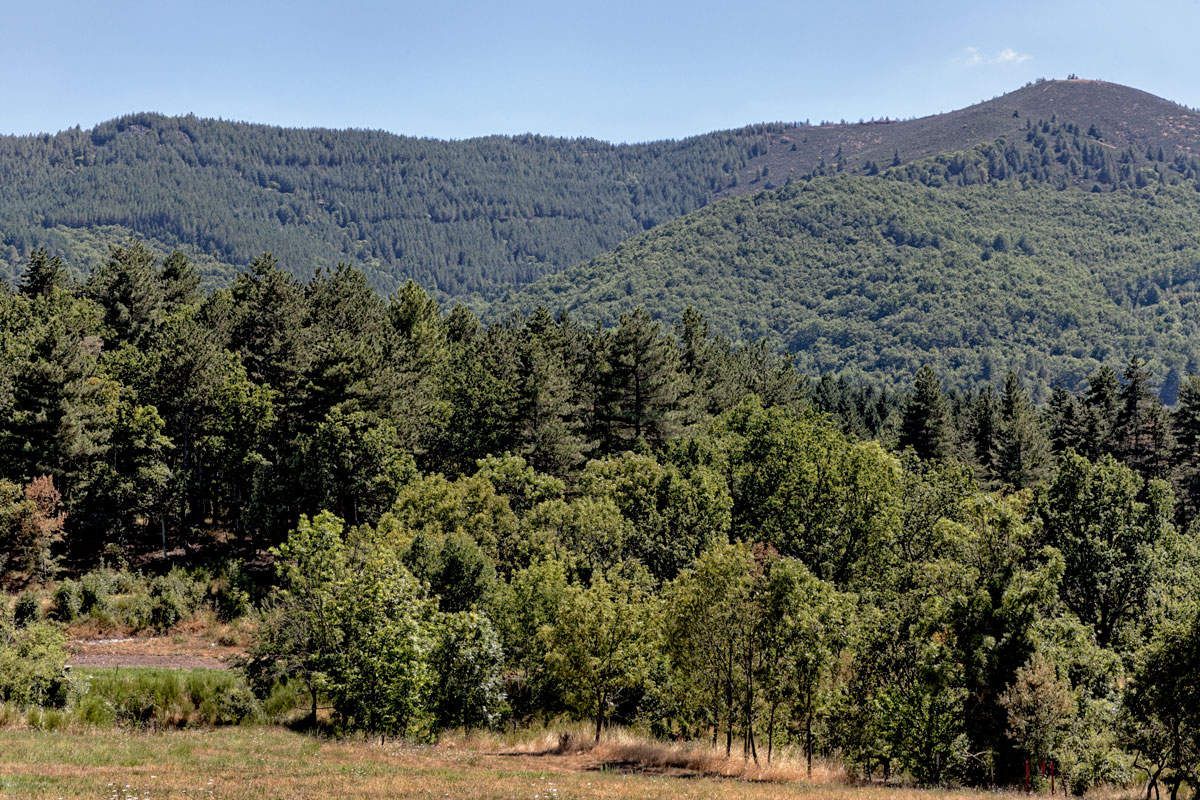 L'Ardèche : Jaujac