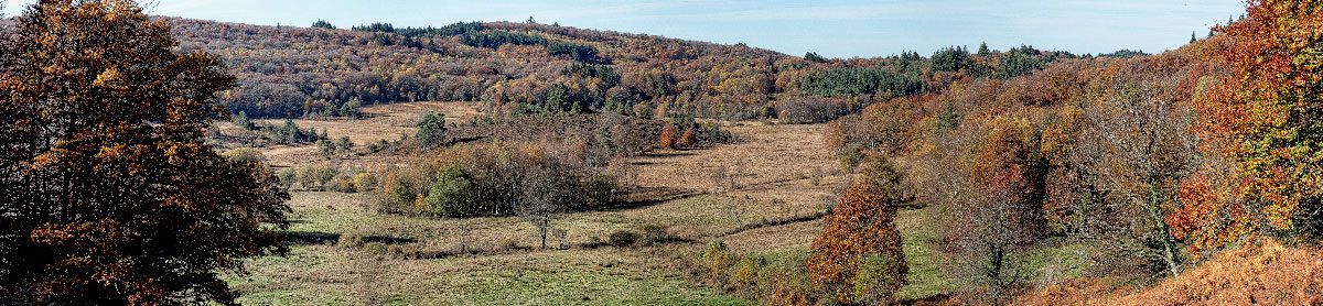 Automne en Limousin - 2