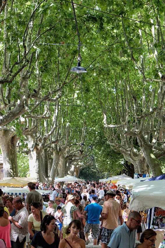 Le Gard - Barjac - 2
