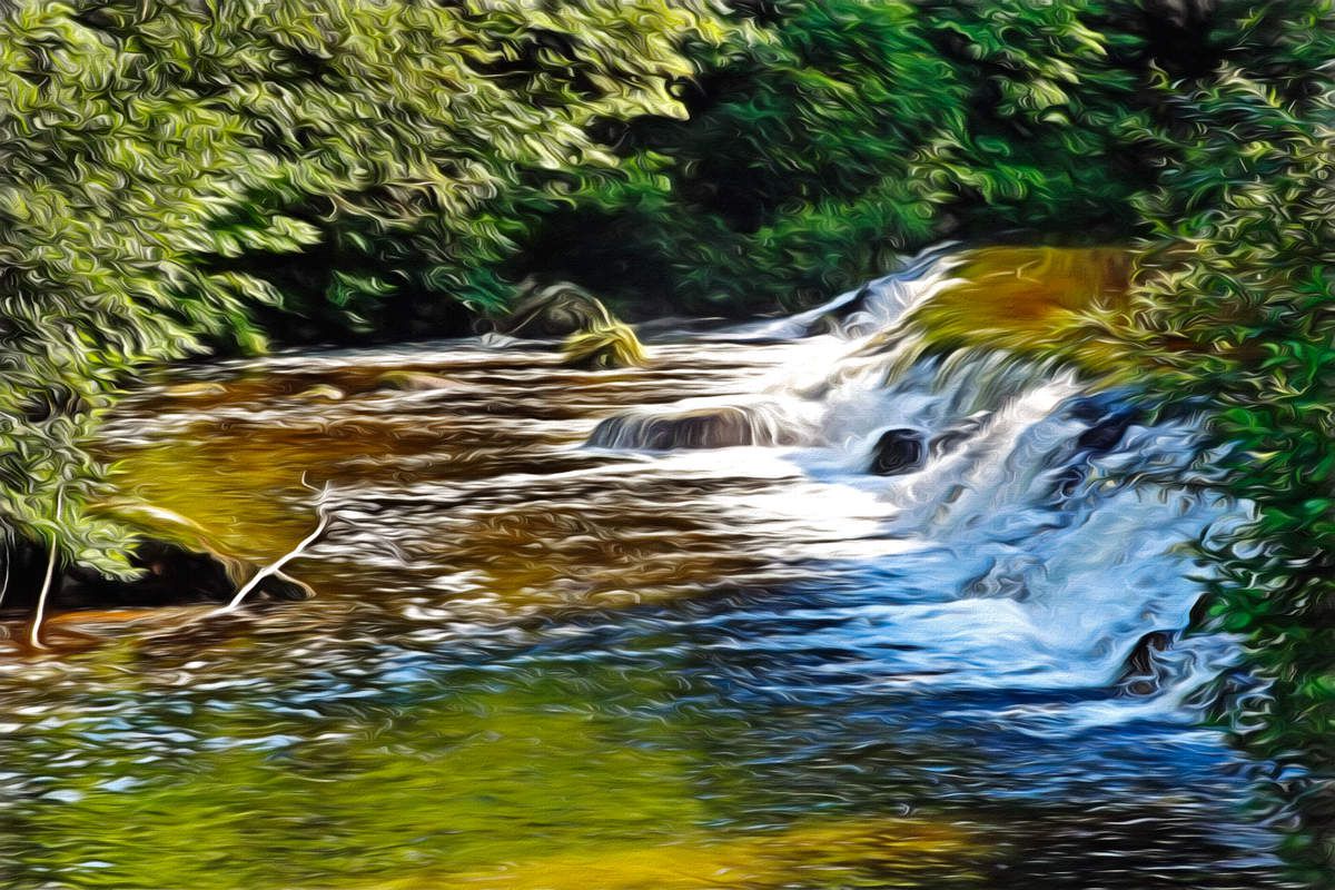 Tentative de détournement 