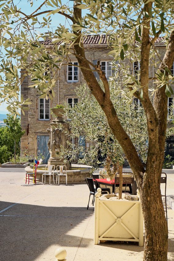 Le Gard - Barjac - 3