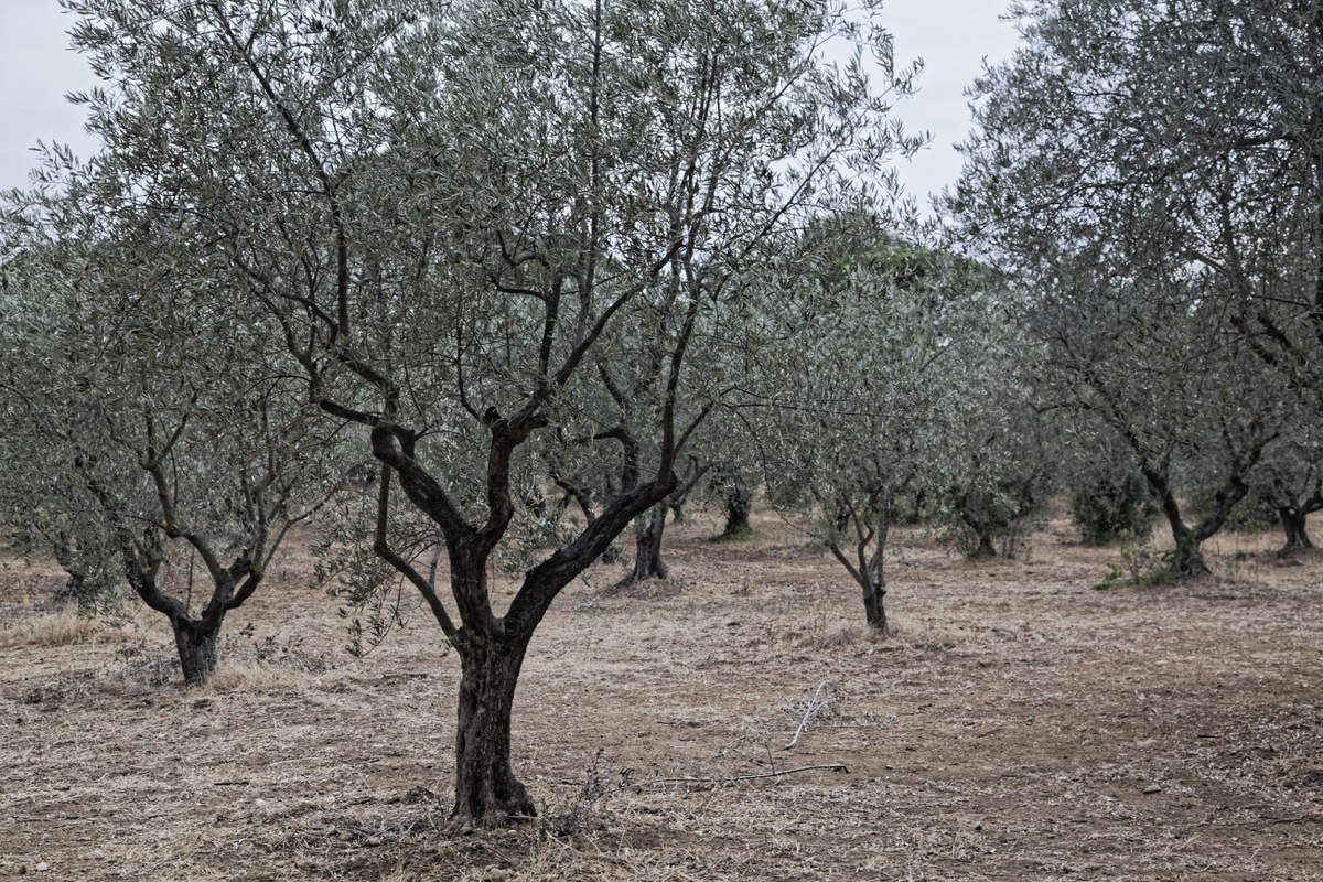 Lourmarin - Vaucluse 