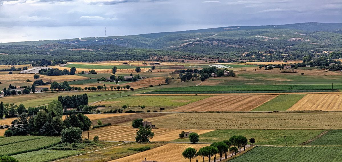 Dauphin - Haute-Provence
