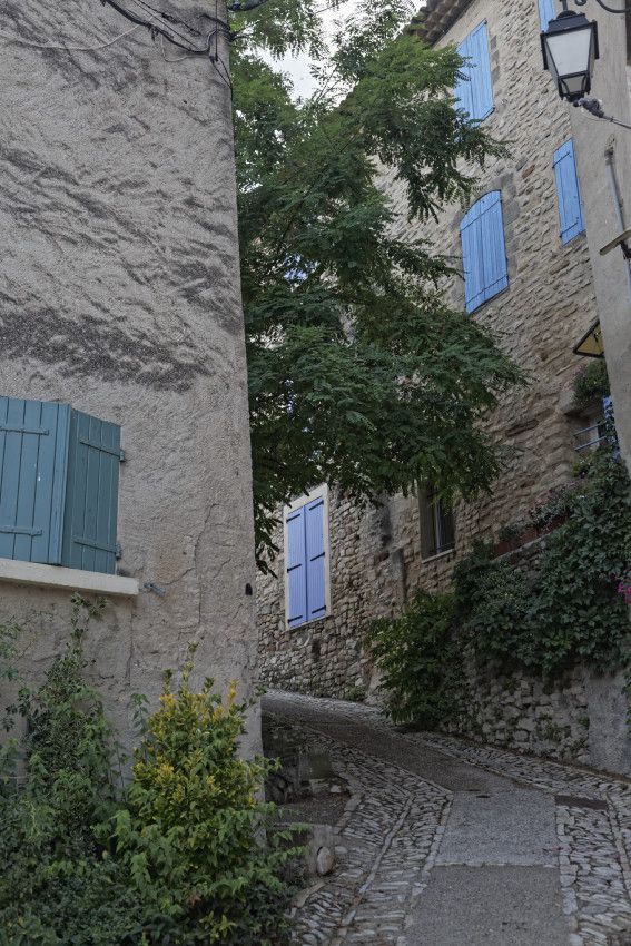 Dauphin - Haute-Provence
