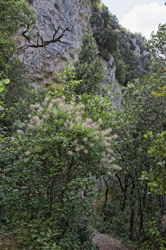 Basses Gorges Du Verdon - 2