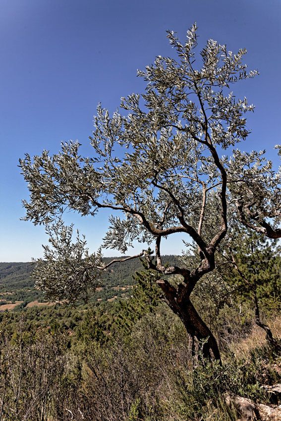 Moustiers-Sainte-Marie  Haute-Provence 3