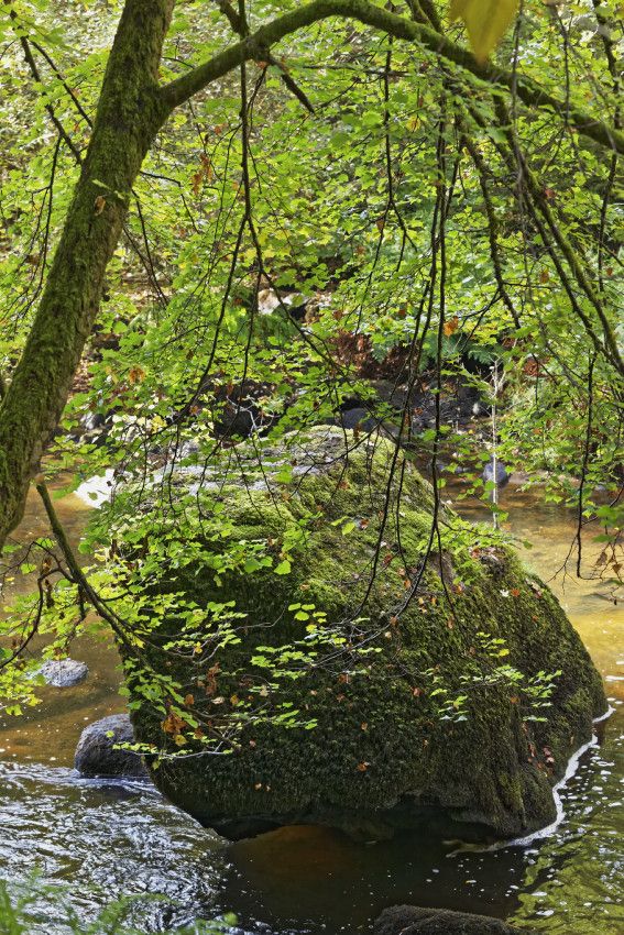Site Corot - Saint-Junien