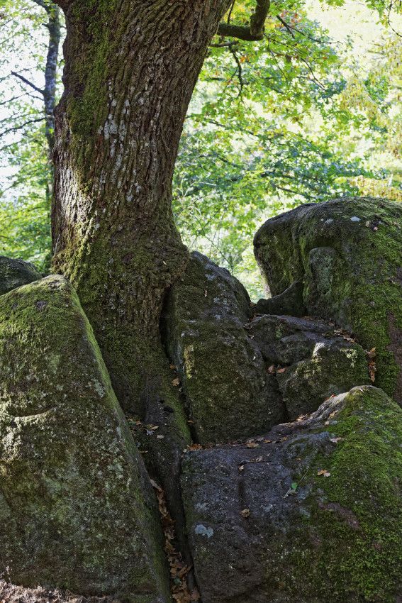 Site Corot - Saint-Junien