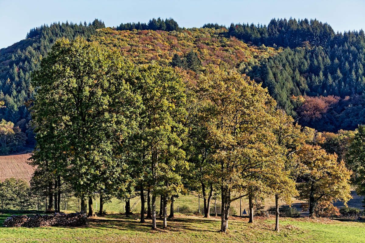 Itinéraire automnal dans les Monts d'Ambazac - 2