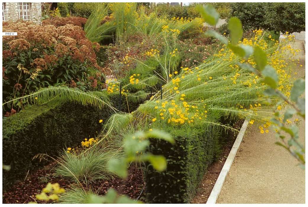 Blois - Jardin des Simples