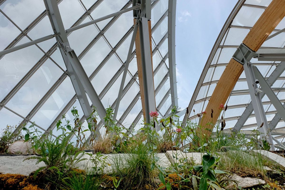 Fondation Vuitton - Paris