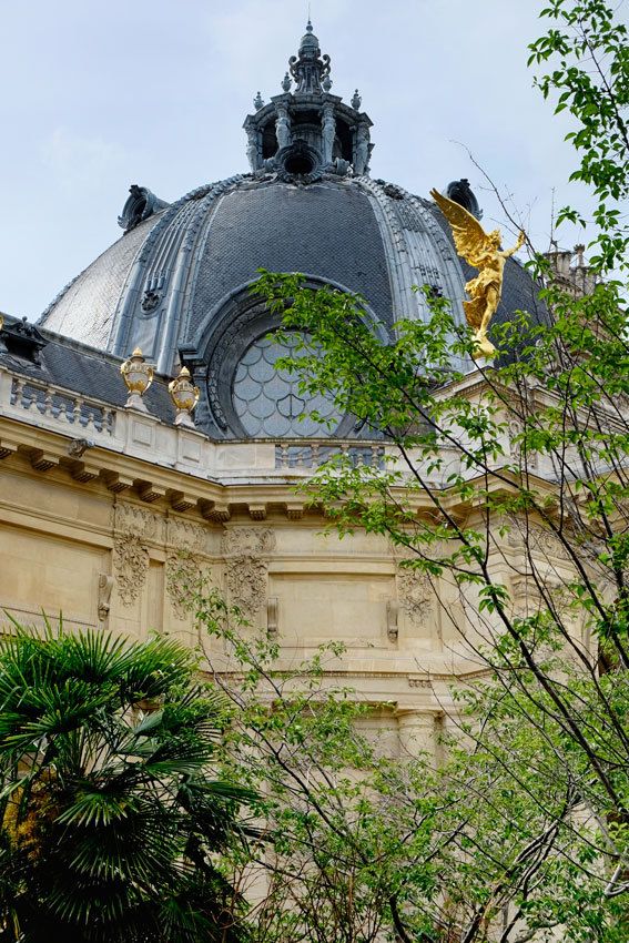 Le Petit Palais - Paris