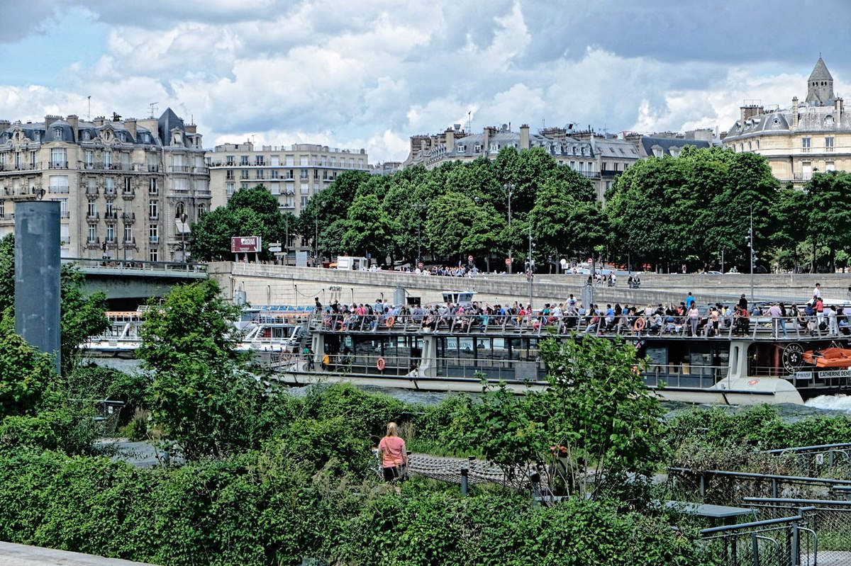 La Seine encombrée - Paris