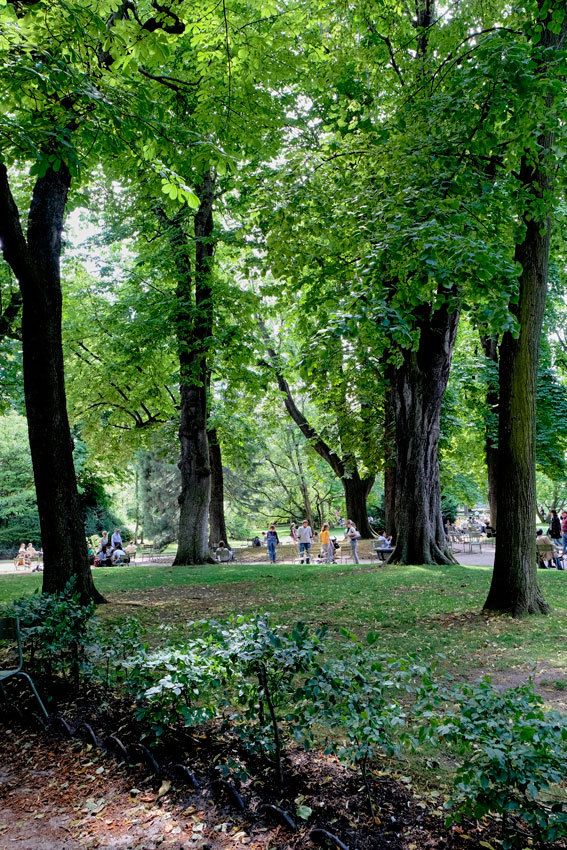 Jardin du Luxembourg - Paris