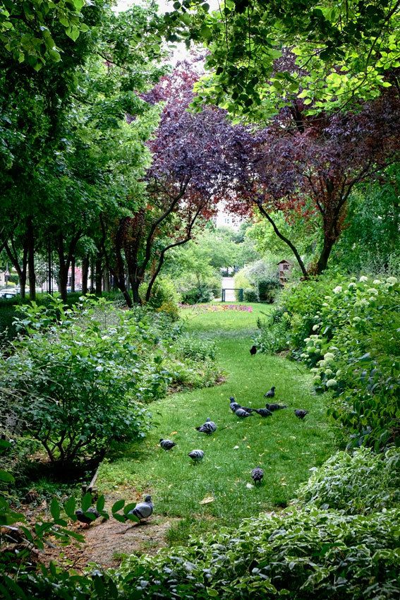 La Coulée Verte - Paris