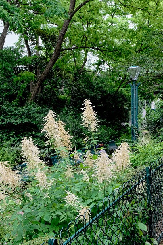 La Coulée Verte - Paris