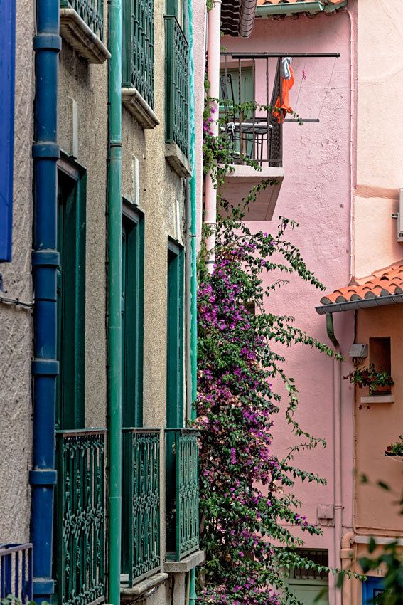 Collioure