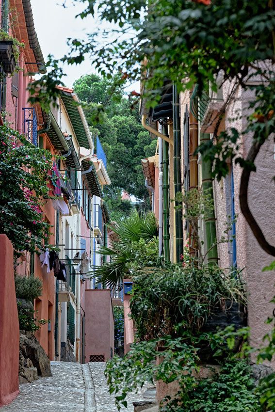 Collioure