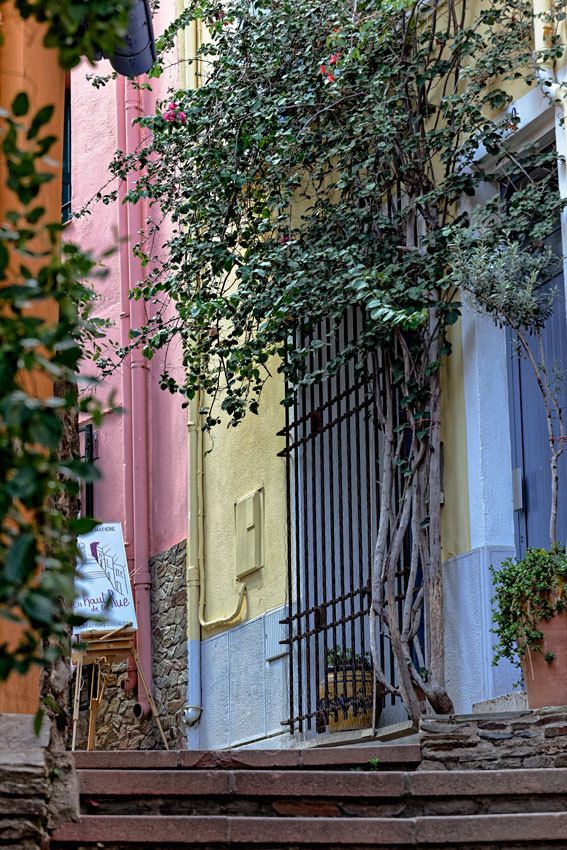 Collioure