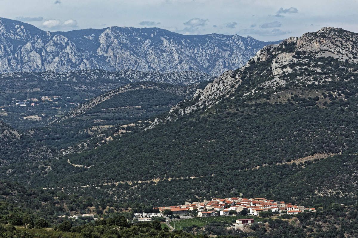 Garrigue