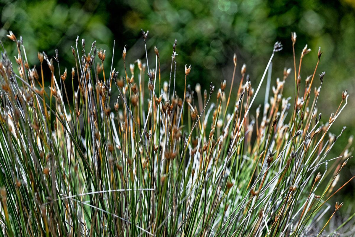 Pour visualiser confortablement les photos "format paysage" en grand : cliquez dessus